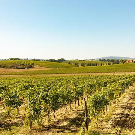 Moraiolo Farm stay *